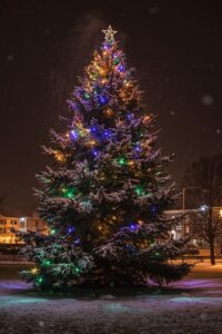 A winter evening in Hollenwil Ridge. The town tree lit up against the snow, reminding people why this season matters here.