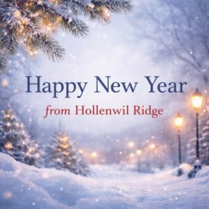 hollenwil happy new year